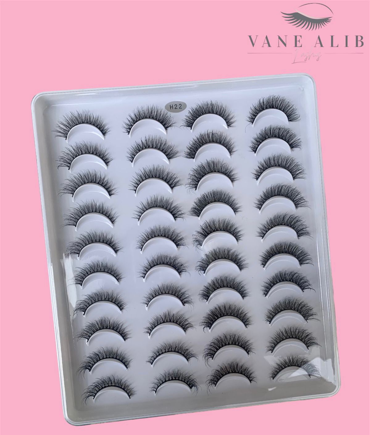 Libro 20 pestañas H22