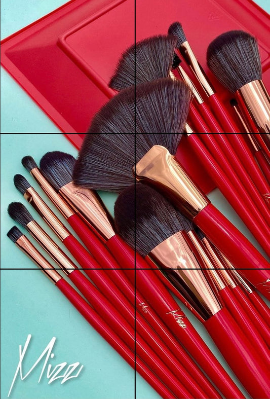 Set de brochas Mizz 24 piezas color rojo